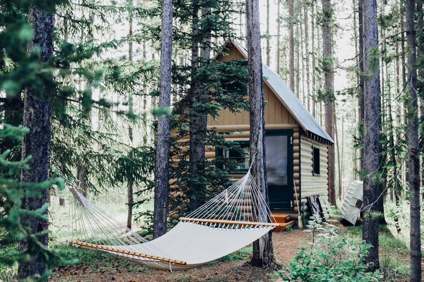 Cottage en bois moderne entouré de verdure dans un camping de luxe