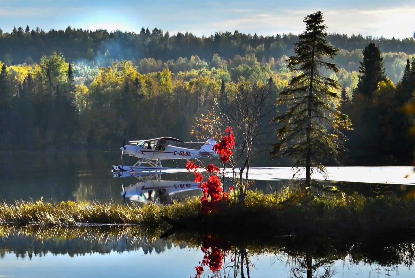 Un traîneau à chiens traversant un superbe paysage enneigé au cœur du Québec