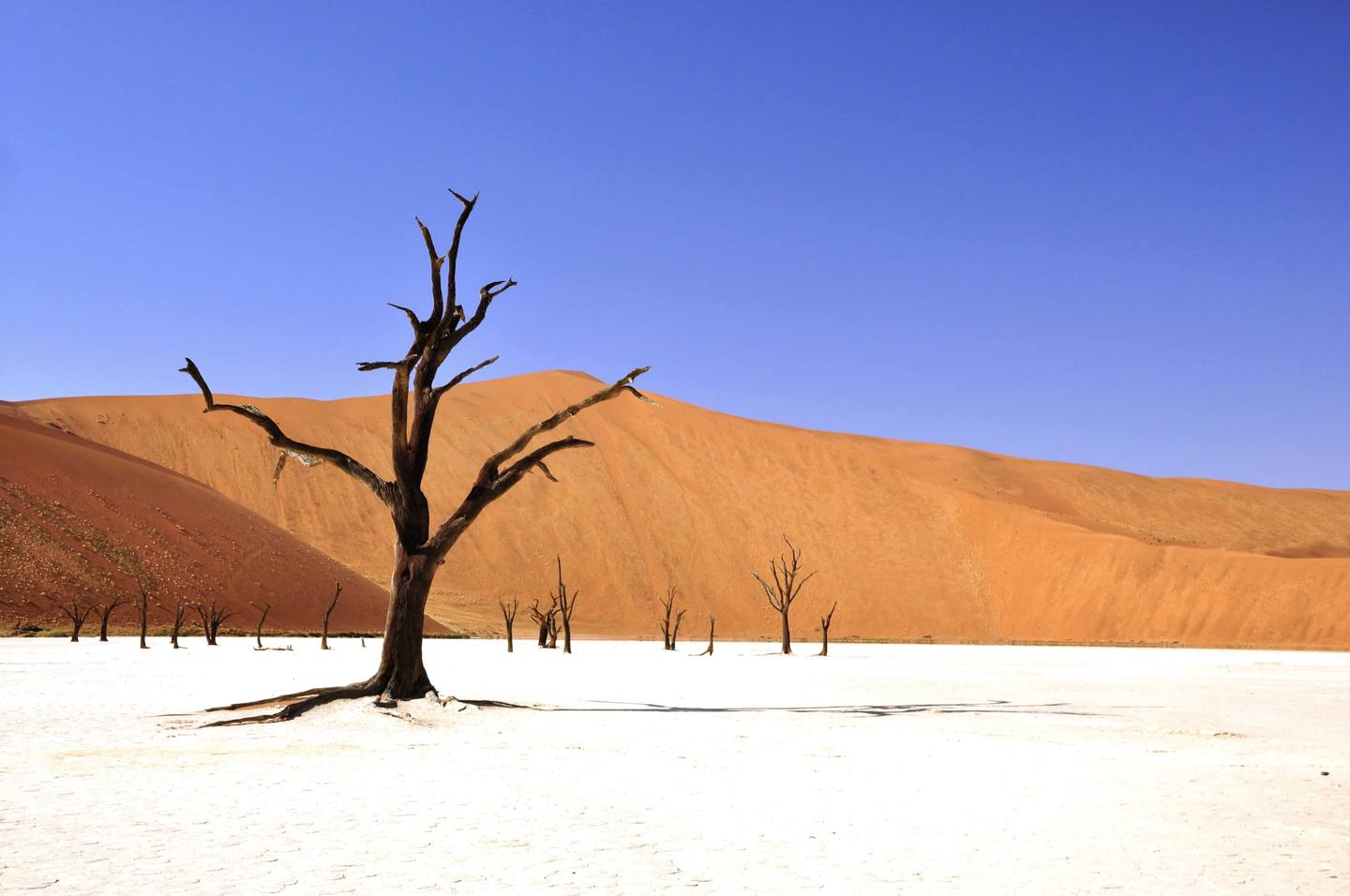 Un van aménagé roulant sur une route désertique entourée de montagnes et de canyons rouges.