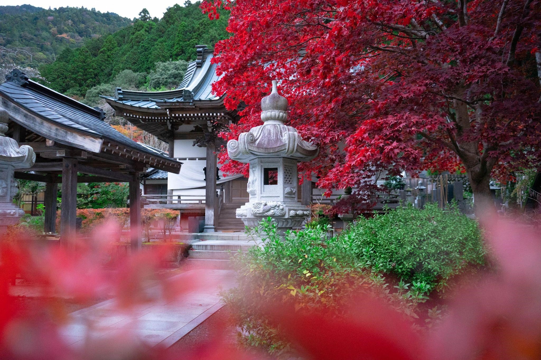 abords-temple-minobu