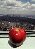 The « Big Apple », mais pourquoi?