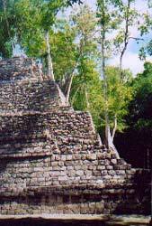 Calakmul et la « ruta Becán »