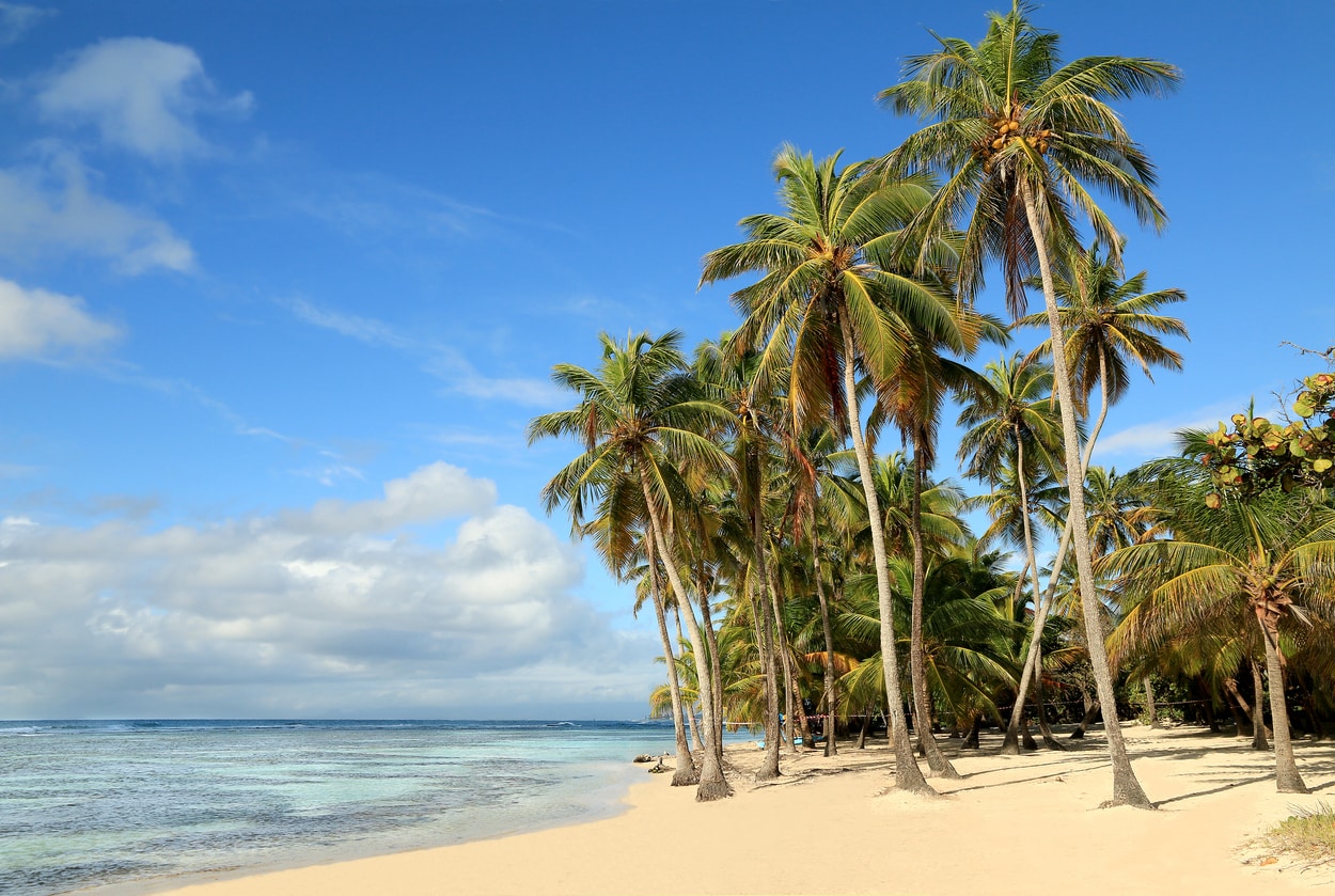 Aruba