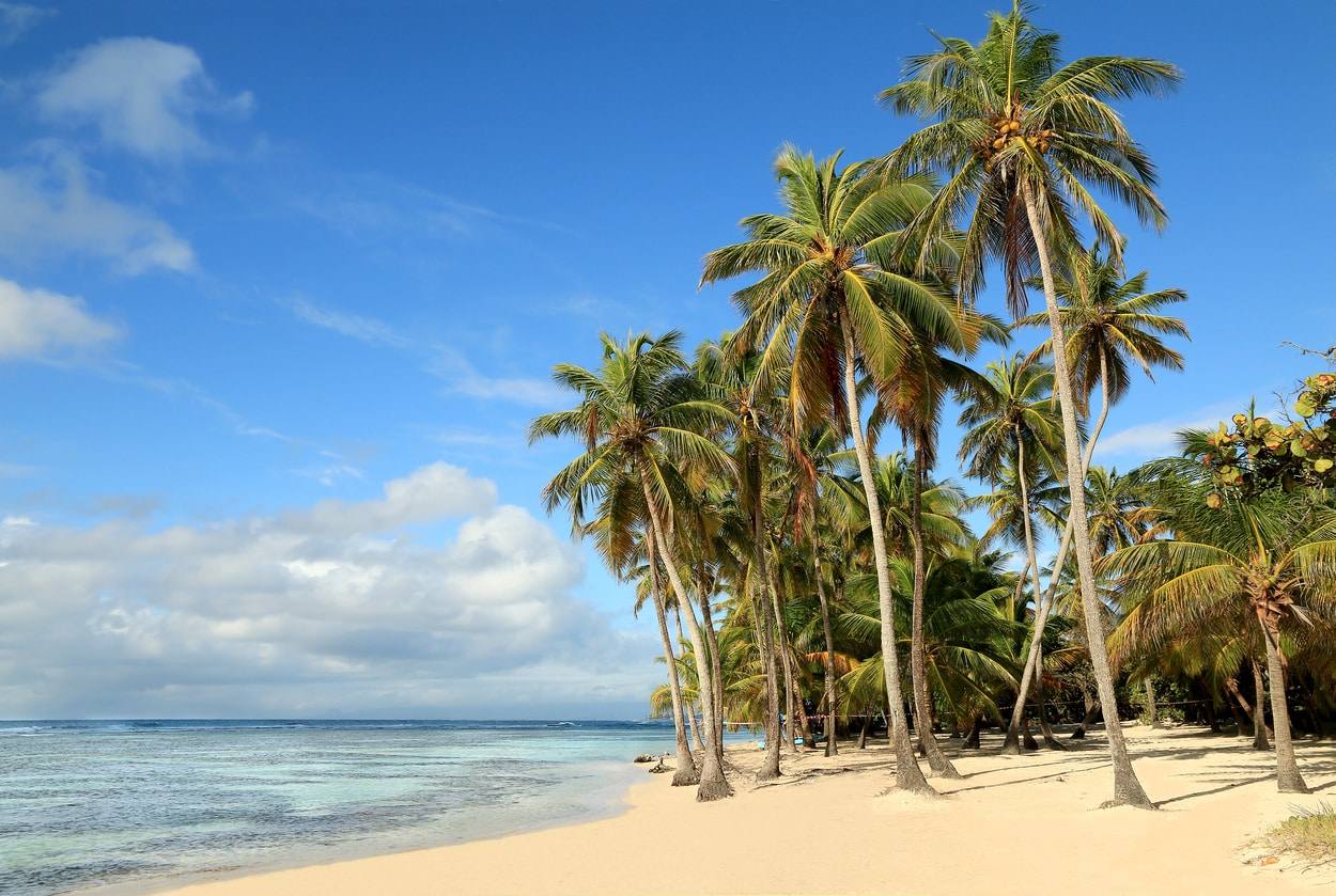 Voyage - La Sagesse Beach Road