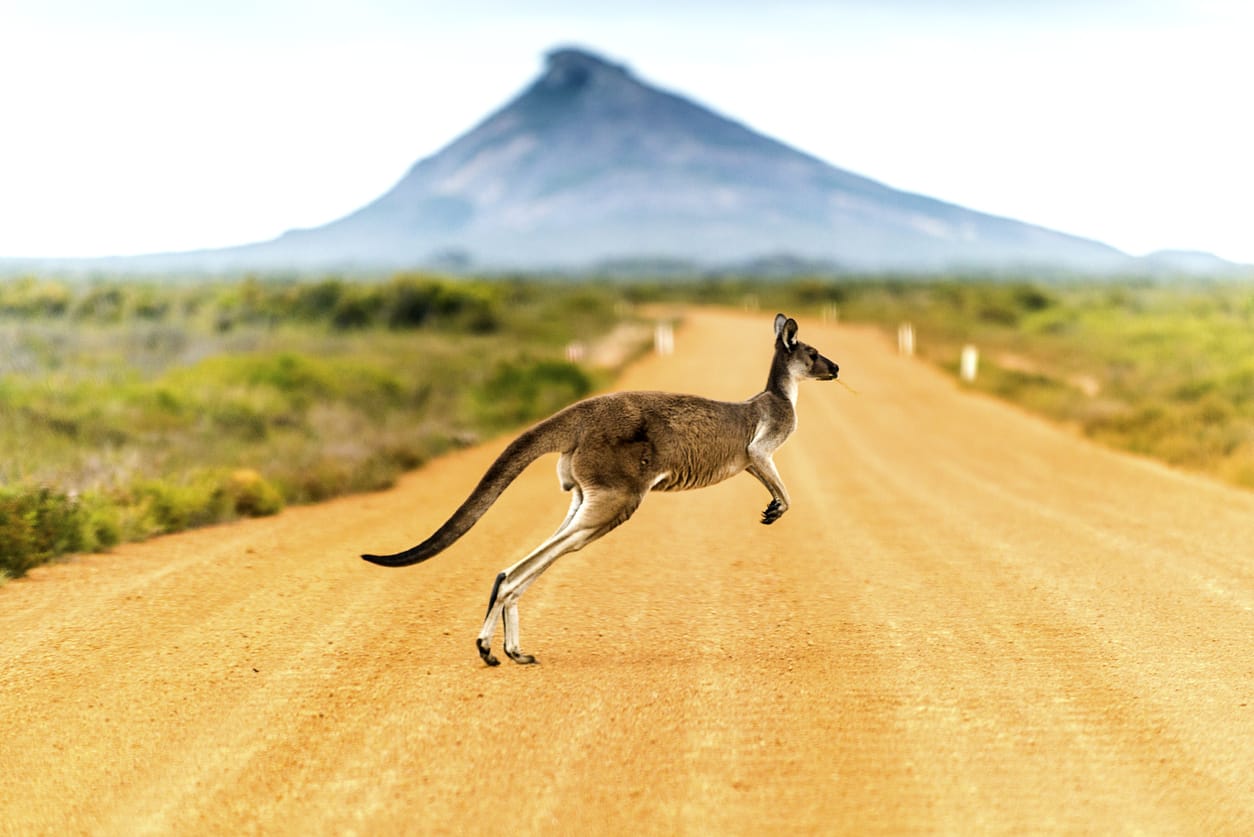 Australie - stock.xchng