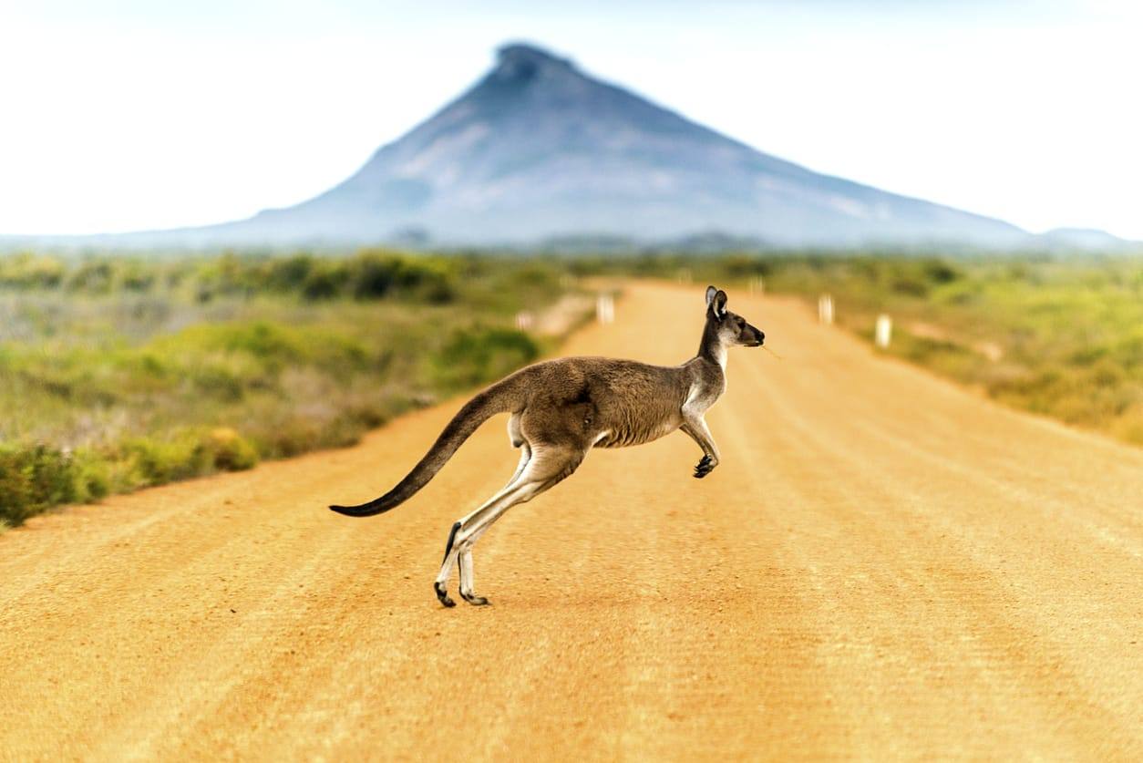 Australie - stock.xchng