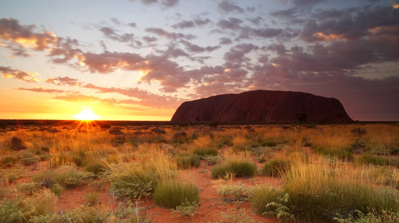 Uluru - Outback