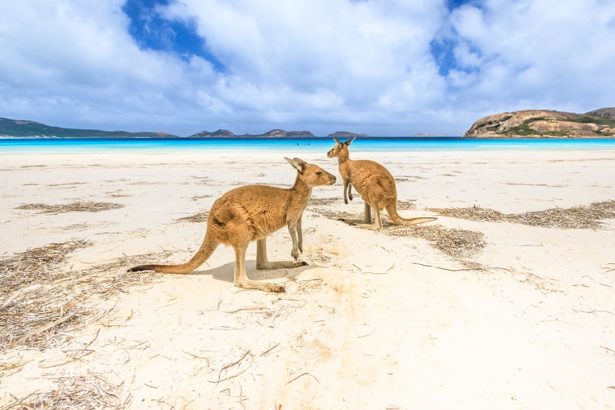 Australie