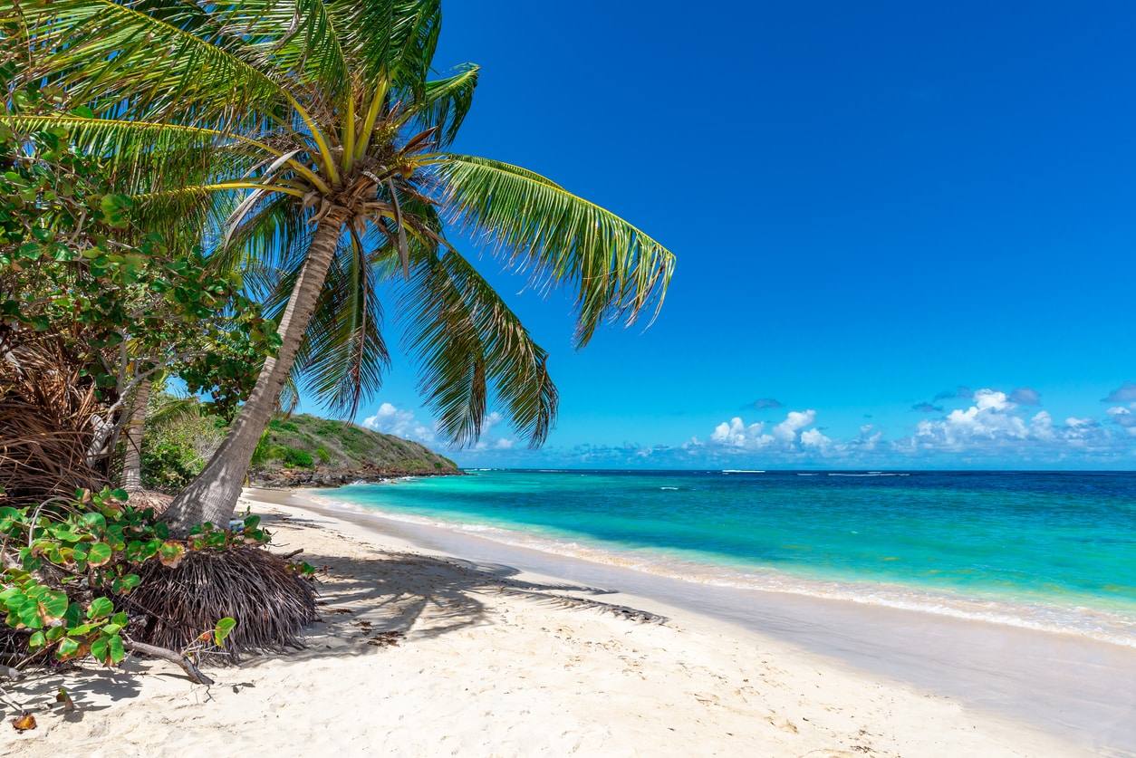 Plage de flamenco - plage