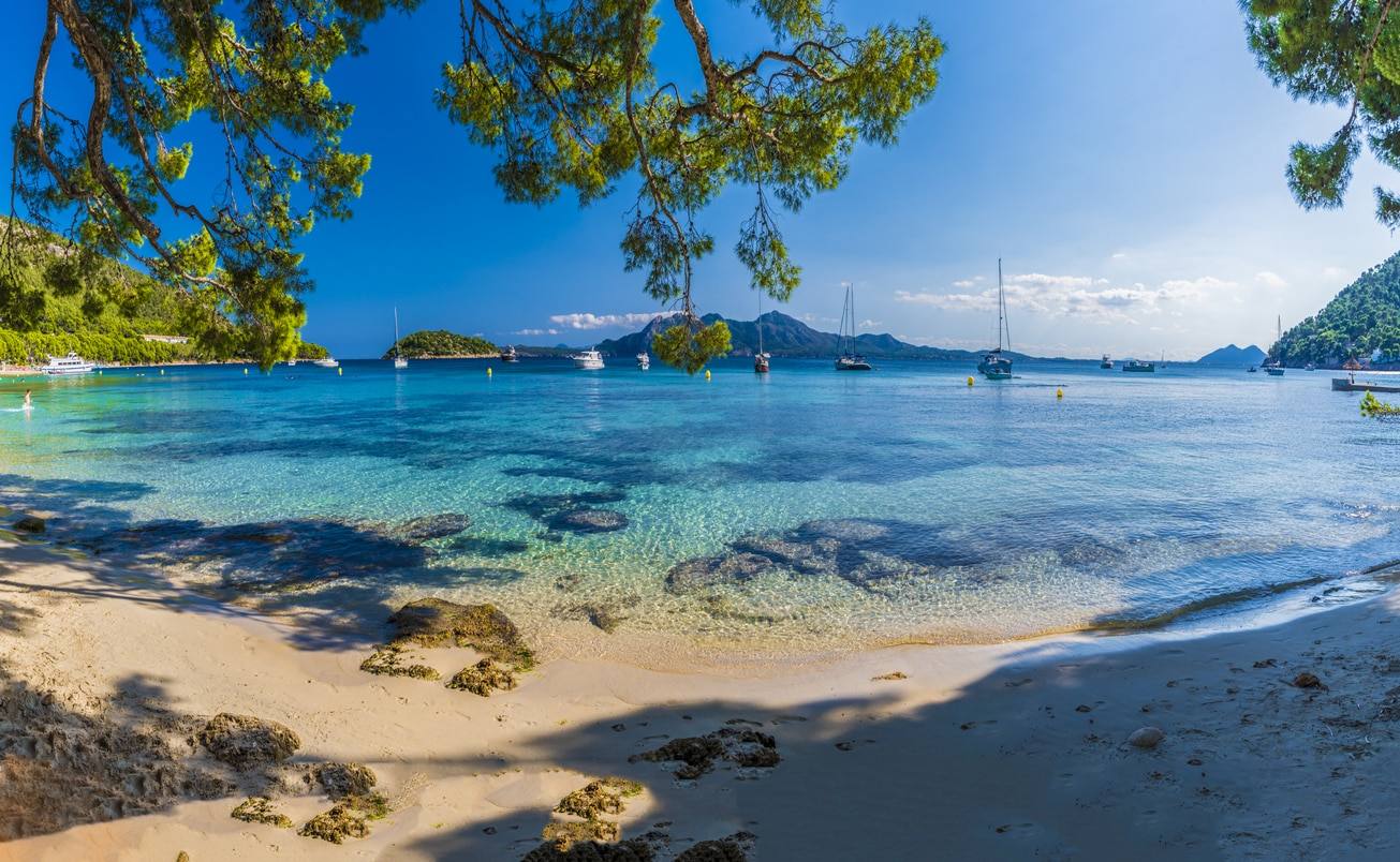 Paume - Chef de Formentor
