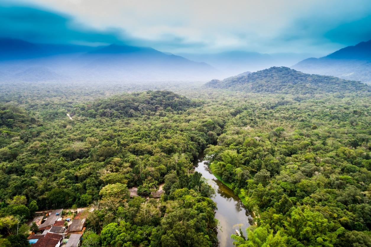 La forêt Amazonienne - Iquitos