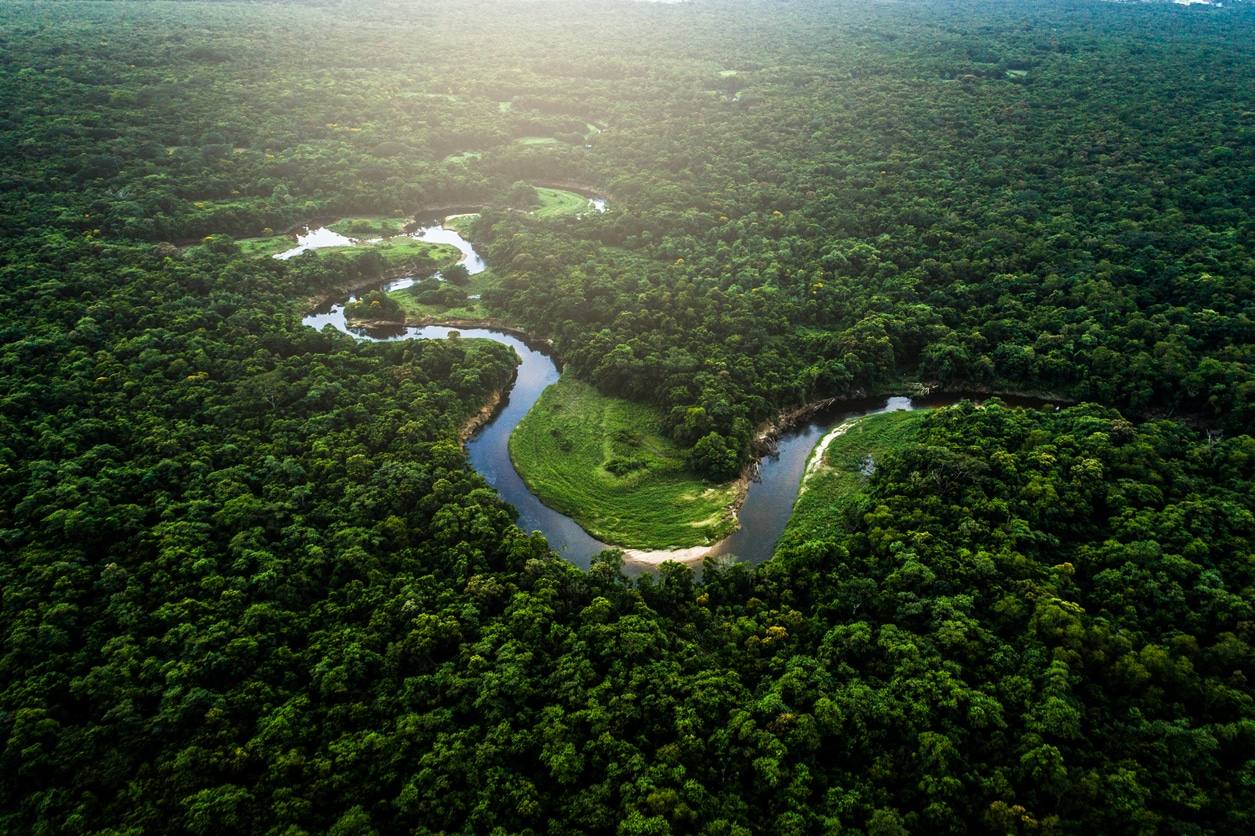 Université Vanderbilt - Environnement naturel