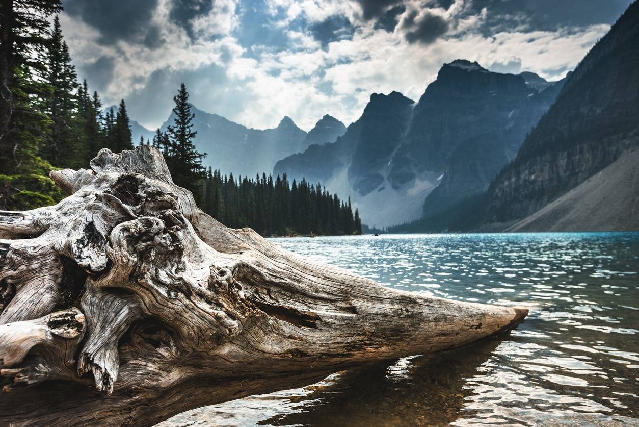 Lac Moraine - Lake Louise