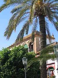 Carmona