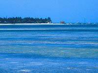 Cayo coco