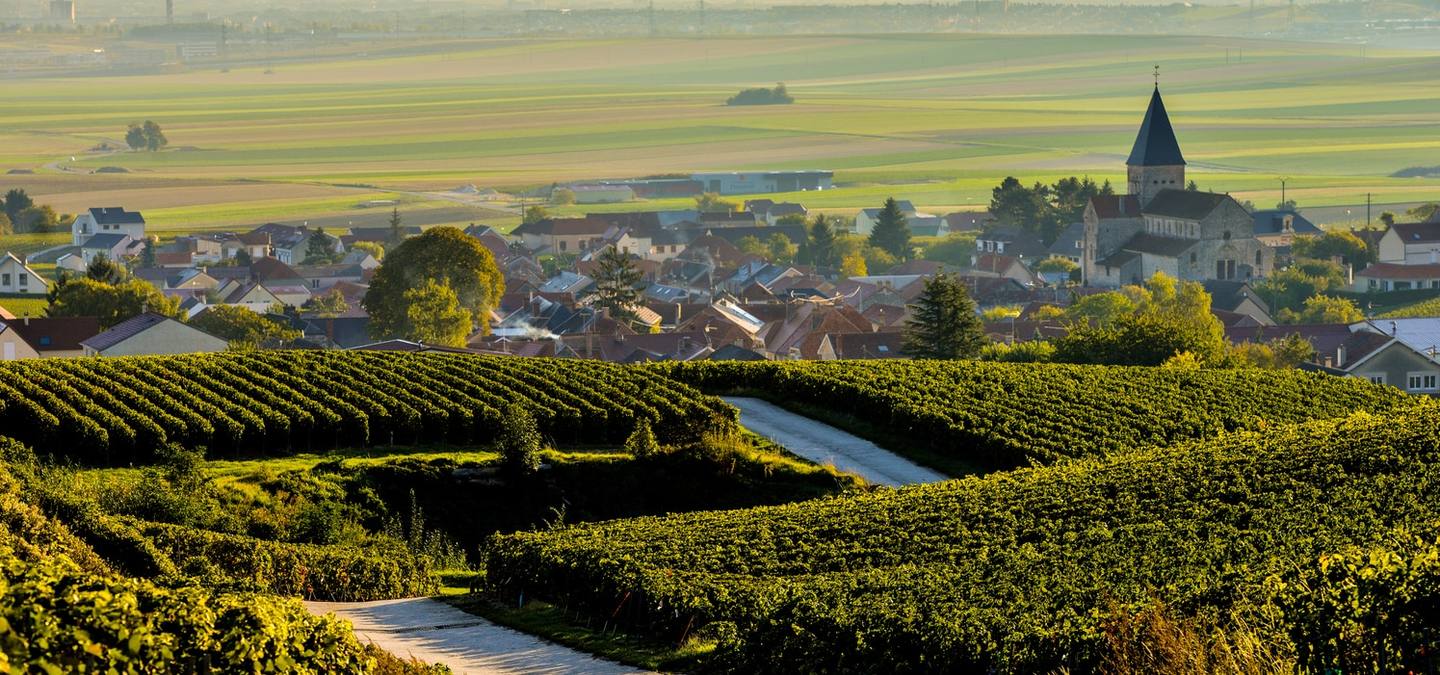 Champagne - Reims