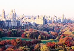 Central Park