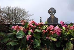 Voyage en Irlande