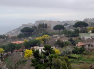 Naples, un délicieux chaos