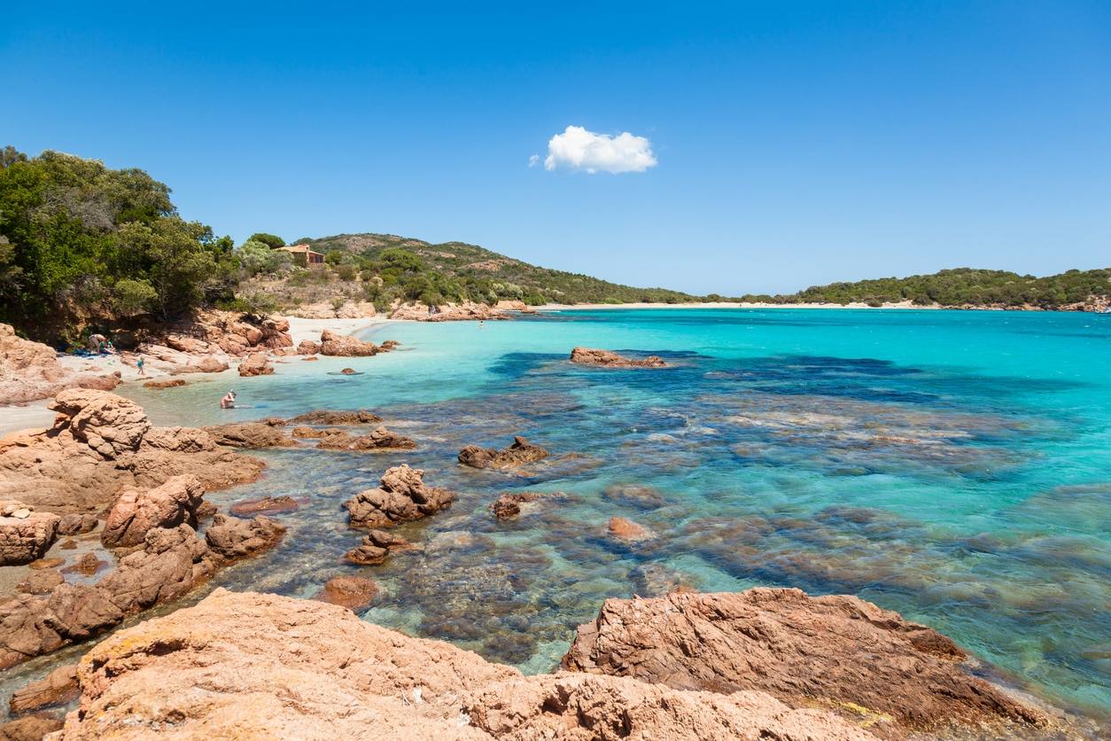 Plage Rondinara - Palombaggia