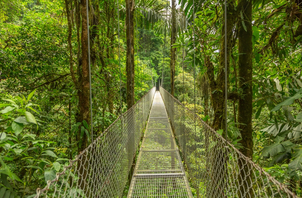 San José