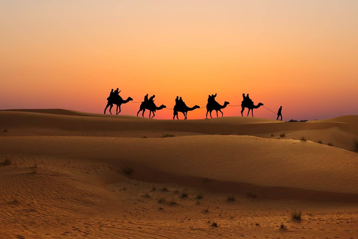 Désert du Sahara - Désert d'Arabie