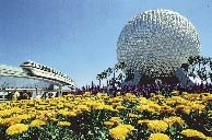 Orlando