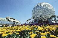 Orlando