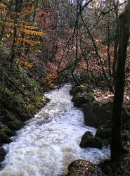 La Black Isle
