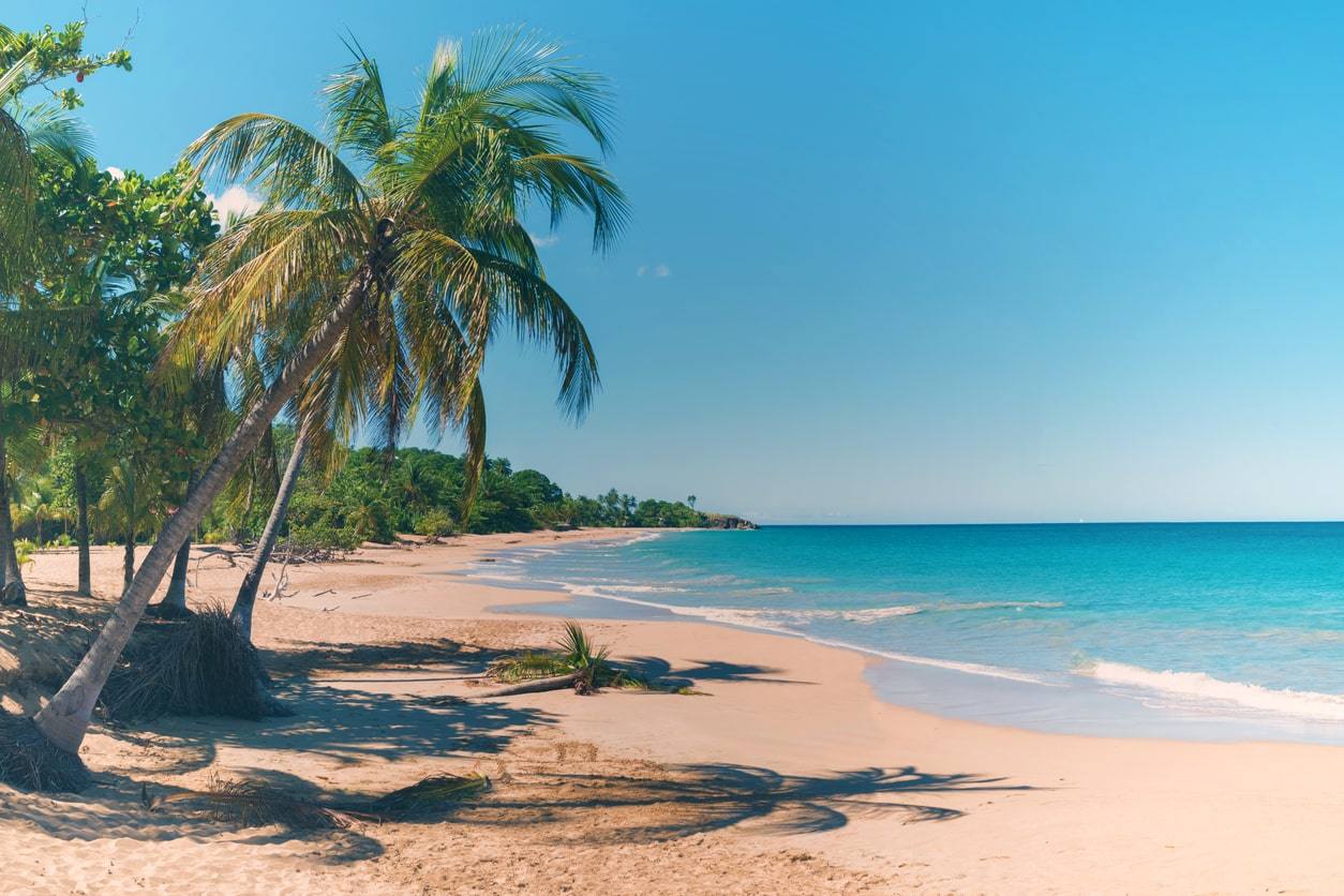 plage - Deshaies