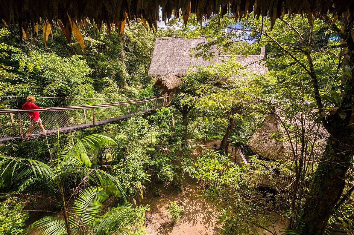 Pont suspendu à Kourou, Camp Canopée, Guyane