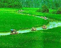 Hoa Lu, La baie d’Along terrestre