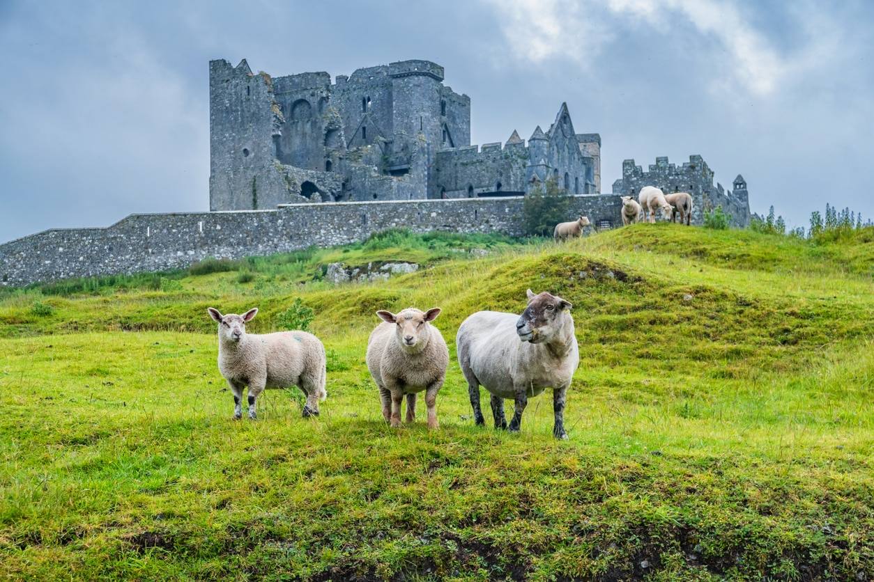 Rocher de Cashel - Photographie de stock