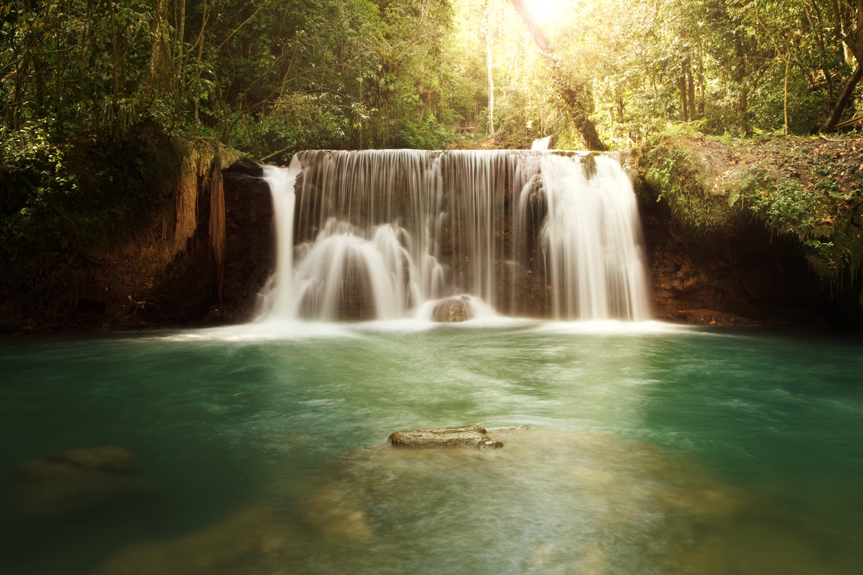 YS Falls - Dunn's River Falls et parc