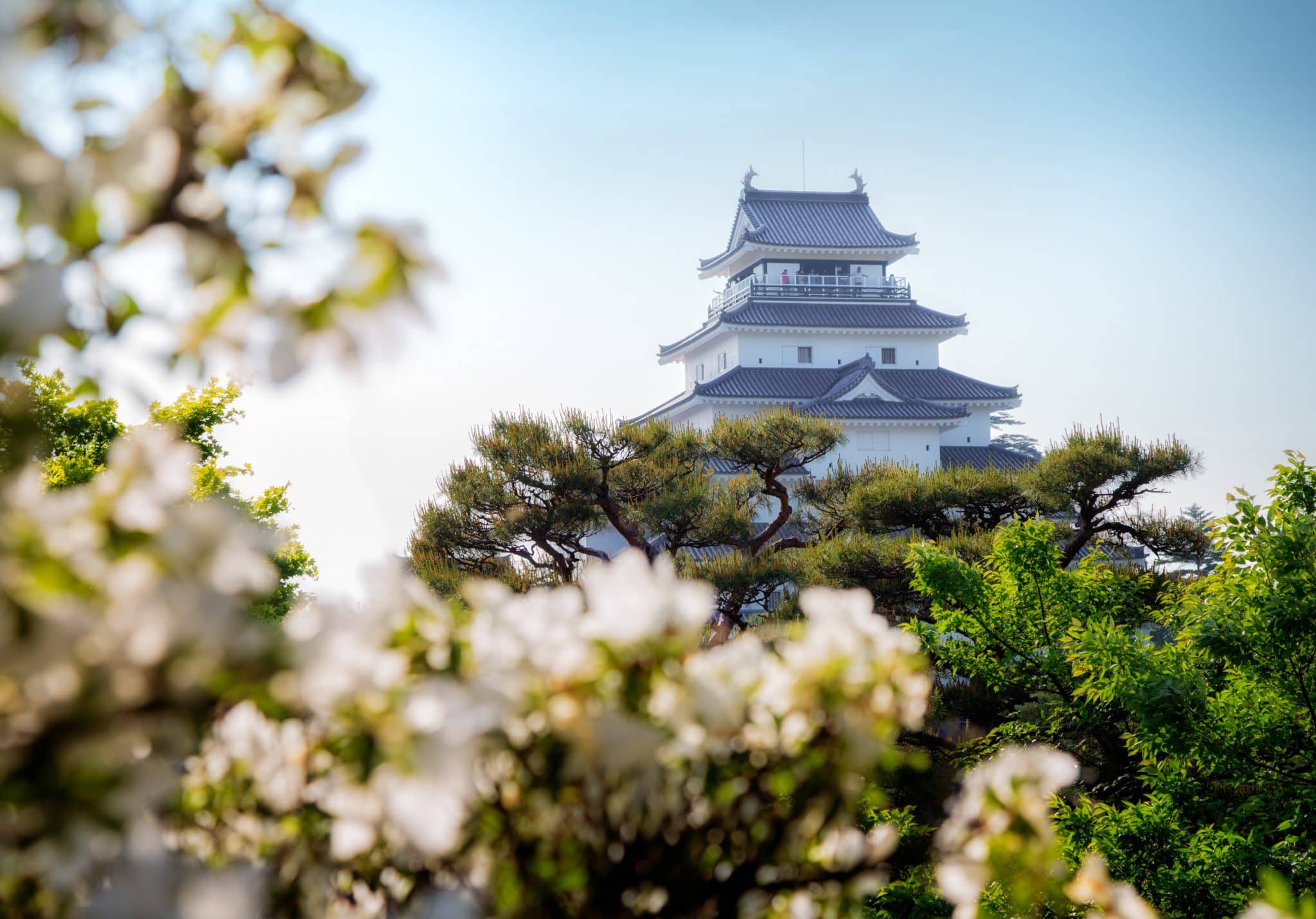 Château d'Aizuwakamatsu au printemps dans la région de Fukushima