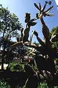 Lisbonne : Parcs et jardins