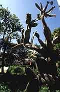 Lisbonne : Parcs et jardins