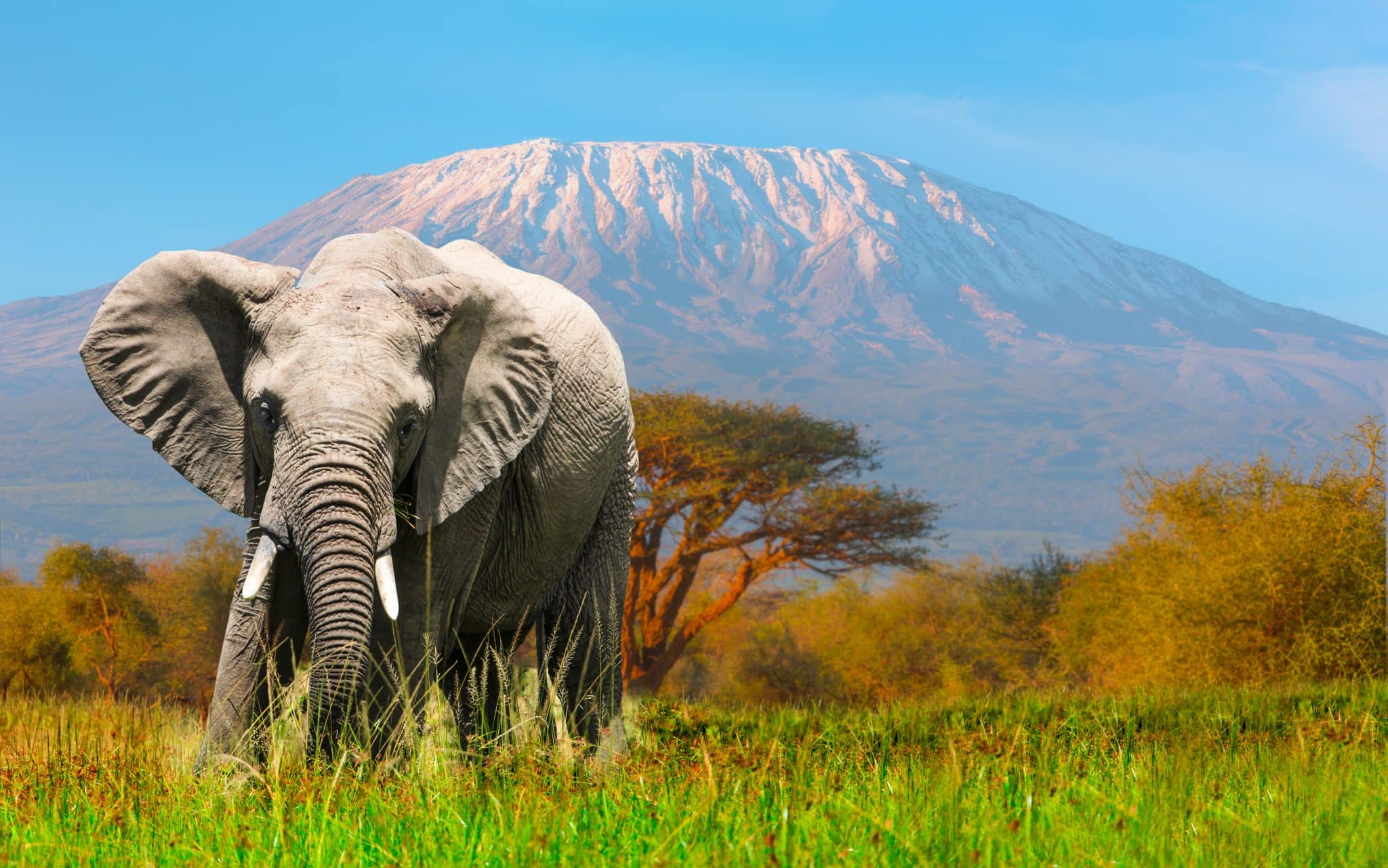 Tanzanie