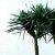 Tous les reportages sur le Vietnam