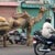 Inde, photos et infos