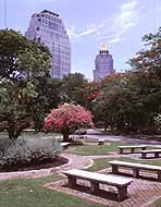 Lumphini park, Bangkok