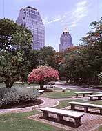 Lumphini park, Bangkok