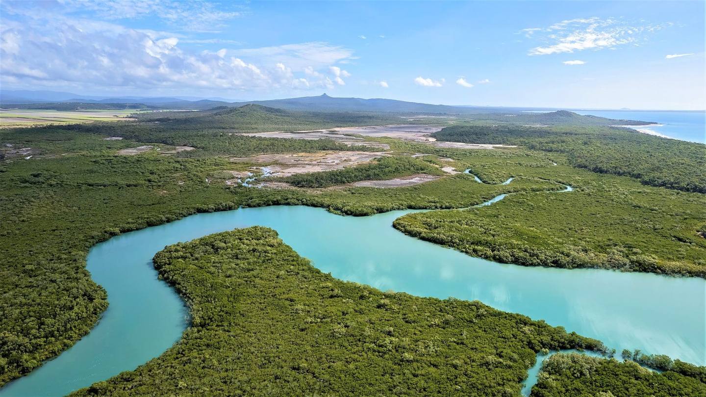 Vue sur la mangrove de l'archipel de Bijagos