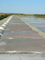Île de Ré, En route vers les marais salants