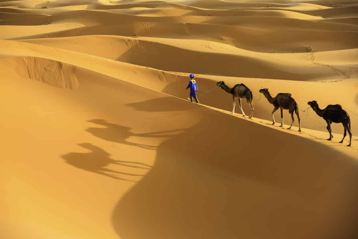 Très Chebbi - Désert du Sahara