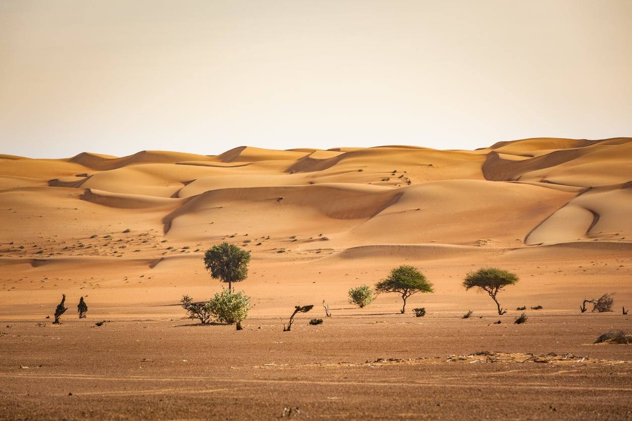 Quartier vide - Wahiba Sands