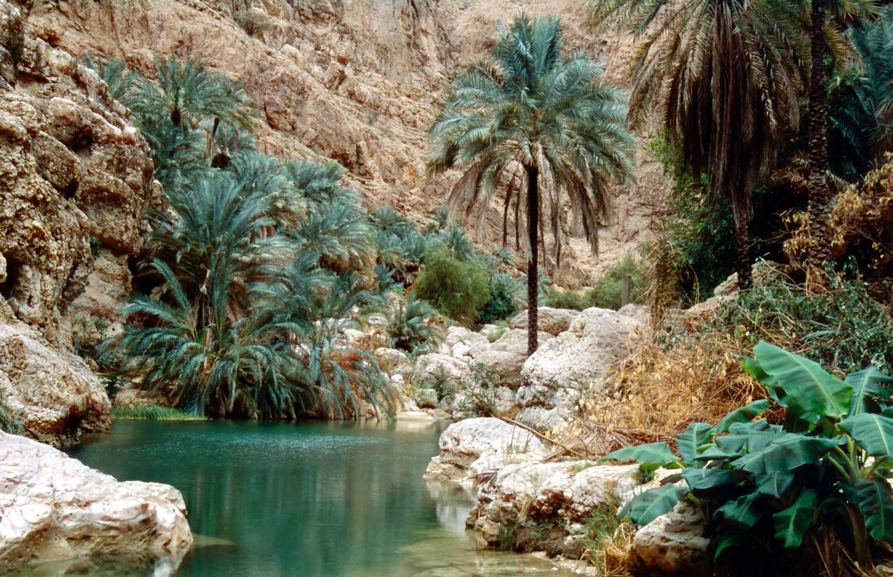 Muscat - Wadi Ash Shab