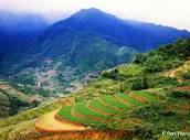 Passion Photo au Nord-Vietnam