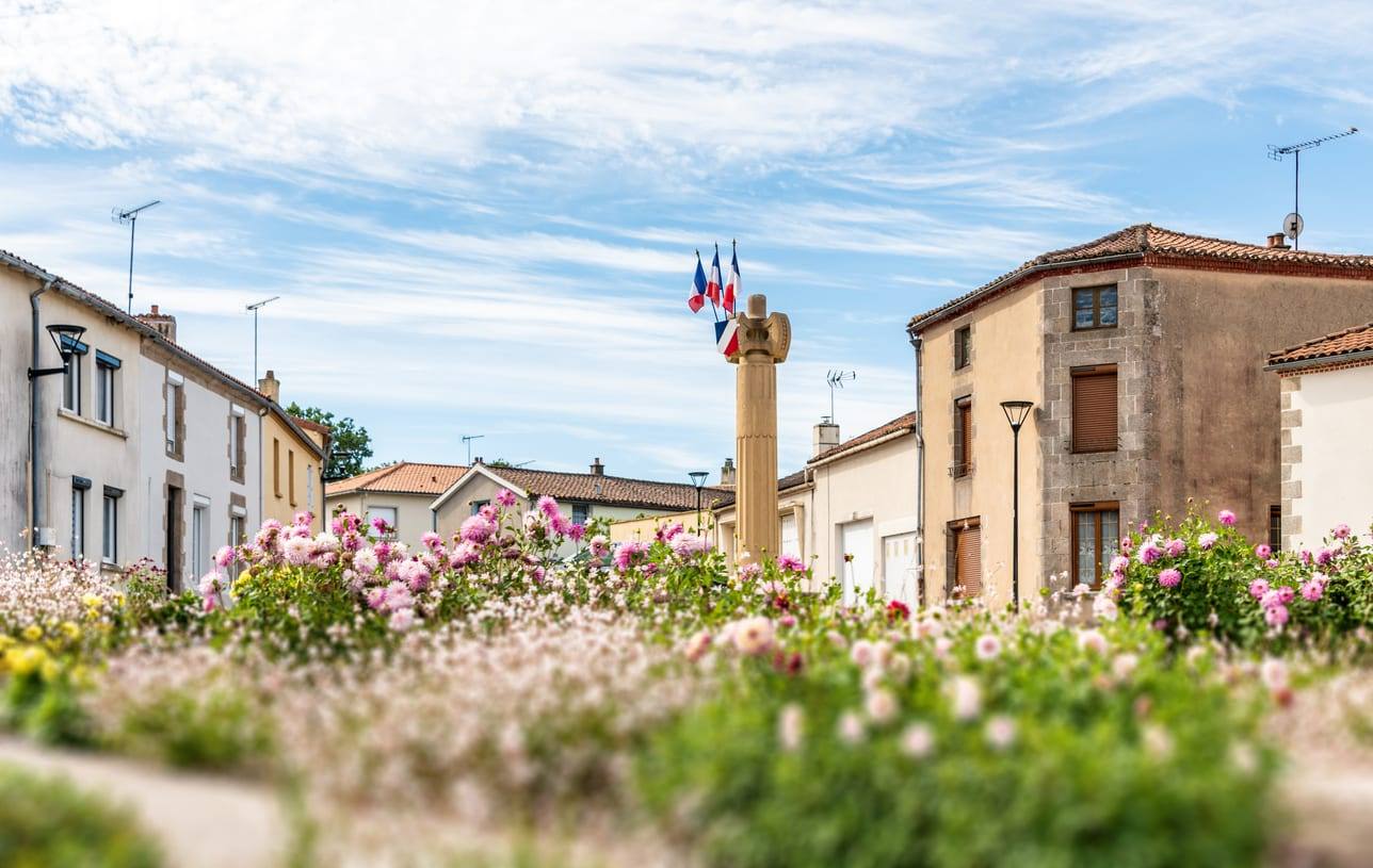Propriété - Immobilier