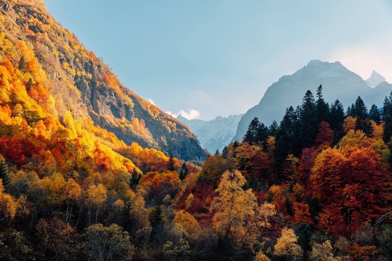 Feuillages d'automne dorés encadrant un paysage urbain pittoresque lors d'un voyage en famille